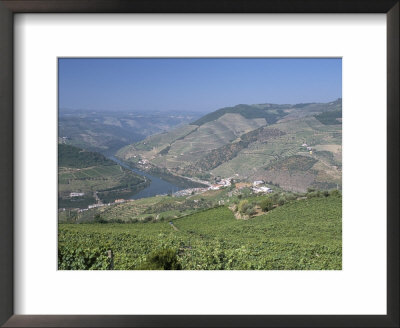Vineyards Near Pinhao, Douro Region, Portugal by R H Productions Pricing Limited Edition Print image
