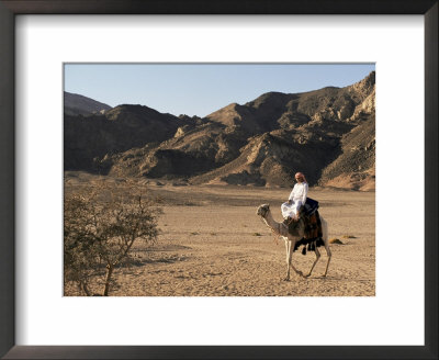 Bedouin Man Riding Camel, Sinai, Egypt, North Africa, Africa by Nico Tondini Pricing Limited Edition Print image