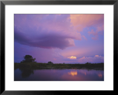 Okavango Delta, Botswana, Africa by Paul Allen Pricing Limited Edition Print image