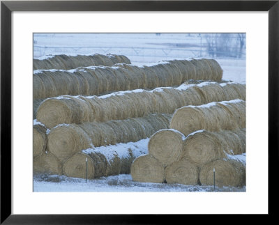 A Dusting Of Snow Lightly Blankets Stacks Of Hay Bales by Tom Murphy Pricing Limited Edition Print image