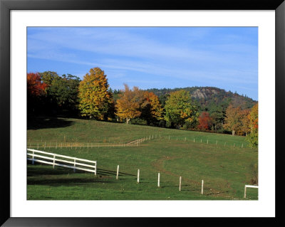 Horse Farm In New England, New Hampshire, Usa by Jerry & Marcy Monkman Pricing Limited Edition Print image