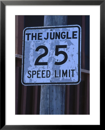 The Jungle 25 Mph Street Sign by Harvey Schwartz Pricing Limited Edition Print image