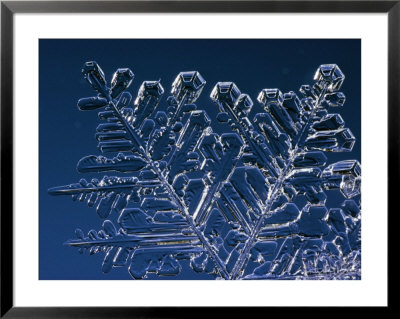 Close Up Shot Of Part Of Snow Crystal by John Dunn Pricing Limited Edition Print image
