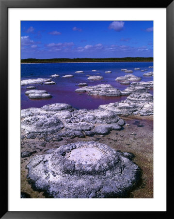 Stromatolites (Cervantes), Australia by Christopher Groenhout Pricing Limited Edition Print image