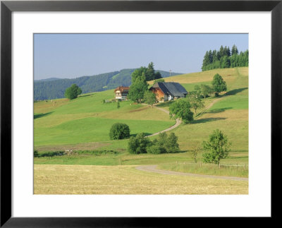 Scene In The Black Forest (Schwarzwald), Baden-Wurttemberg, Germany, Europe by Gavin Hellier Pricing Limited Edition Print image