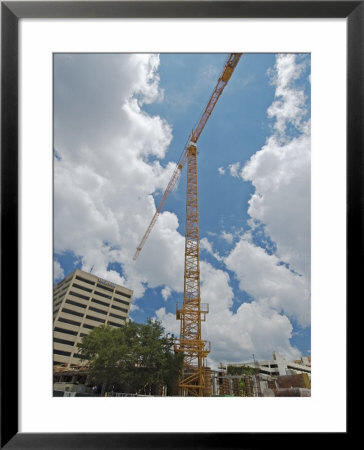 Construction Crane, Florida, Usa by David M. Dennis Pricing Limited Edition Print image