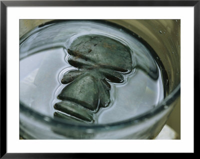 An Ancient Mayan Jade Carving Soaking by Kenneth Garrett Pricing Limited Edition Print image