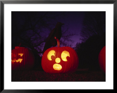 Night View Of Illuminated Jack-O-Lanterns With Fake Crow Perched Atop by Bill Curtsinger Pricing Limited Edition Print image