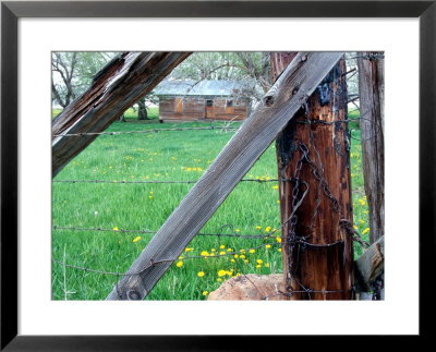 Abandoned Homestead Near Joseph, Oregon, Usa by William Sutton Pricing Limited Edition Print image