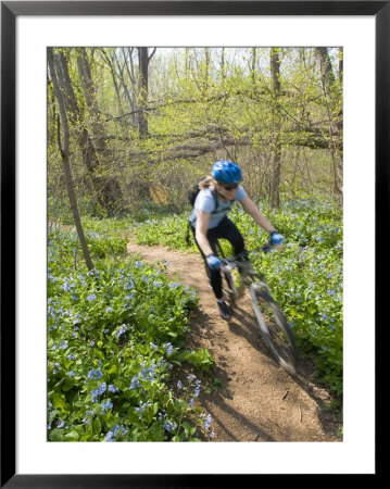Woman Mountain Biker Blur With Flowers On Singletrack Trail by Skip Brown Pricing Limited Edition Print image