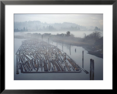 Timber Floating On Water Around Coos Bay, Oregon Coast by Brimberg & Coulson Pricing Limited Edition Print image