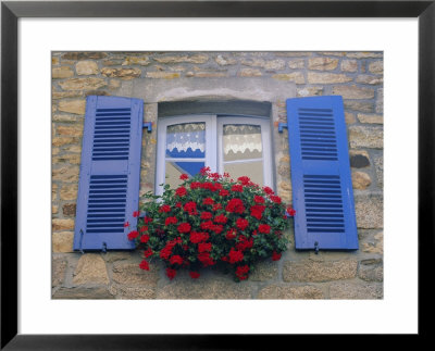 Blue Shuttered Windows And Red Flowers, Concarneau, Finistere, Brittany, France, Europe by Ruth Tomlinson Pricing Limited Edition Print image