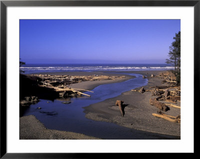 Kalaloch Beach And Creek, Olympic National Park, Washington, Usa by Jamie & Judy Wild Pricing Limited Edition Print image