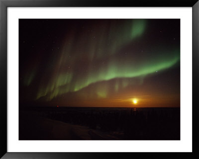 The Aurora Borealis Streaks Across The Twilight Sky by Norbert Rosing Pricing Limited Edition Print image