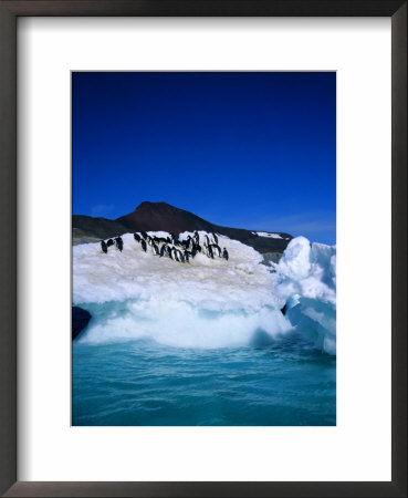 Iceberg And Adelie Penguins, Antarctica, Polar Regions by Geoff Renner Pricing Limited Edition Print image