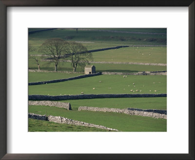 Stone Walls, Malham And Wharfedale, Yorkshire, England, United Kingdom by Adam Woolfitt Pricing Limited Edition Print image