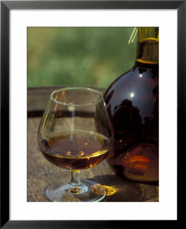Armagnac Is Made From White Grapes, Aquitania, France by Michele Molinari Pricing Limited Edition Print image
