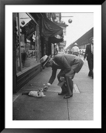 Man Bending Over To Touch Cat Sitting On Sidewalk by Nina Leen Pricing Limited Edition Print image