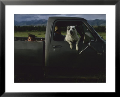 A Young Boy And His Dog Ride In His Grandfathers Truck by Joel Sartore Pricing Limited Edition Print image