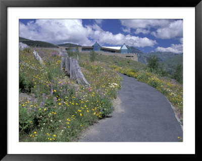 Visitors Center At Coldwater Ridge, Mt. St. Helens, Washington, Usa by Jamie & Judy Wild Pricing Limited Edition Print image