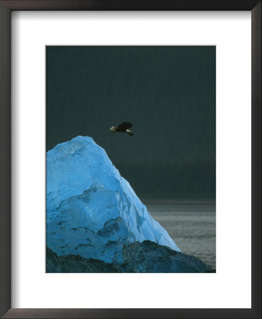 A Bald Eagle In Flight Over A Blue Iceberg by Ralph Lee Hopkins Pricing Limited Edition Print image
