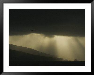 Sunlight Beams From Behind A Cloud While A Lone Bird Flies by Norbert Rosing Pricing Limited Edition Print image