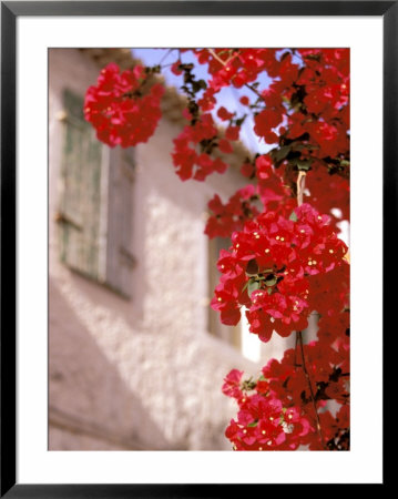 Red Flowers On Main Street, Kardamyli, Messina, Peloponnese, Greece by Walter Bibikow Pricing Limited Edition Print image
