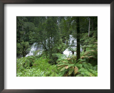 Triplet Falls, Otway National Park, Victoria, Australia by Thorsten Milse Pricing Limited Edition Print image