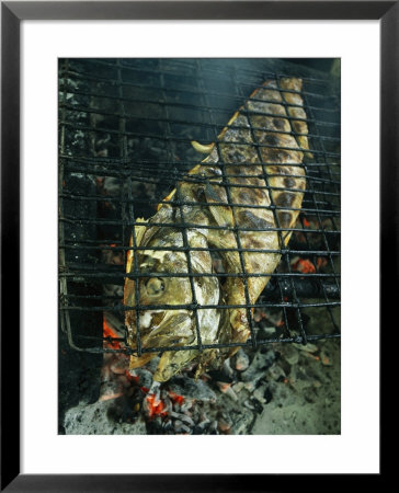 Coronado Fish Is Grilled Over Hot Coals by Michael Melford Pricing Limited Edition Print image