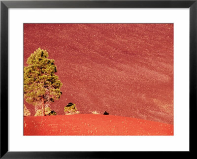 Bonito Lava Flow Field, Sunset Crater Volcano National Monument, Flagstaff, Arizona by Witold Skrypczak Pricing Limited Edition Print image
