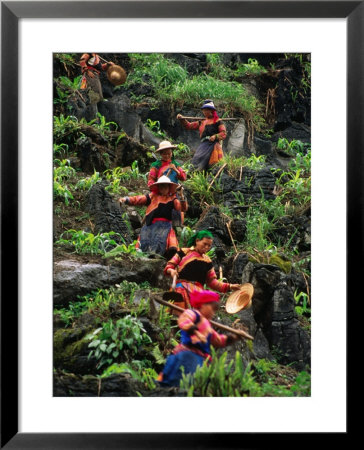 Ethnic Flowery H'mong Farm The Mountains Of Northern Vietnam, Coc Ly, Lao Cai, Vietnam by Stu Smucker Pricing Limited Edition Print image