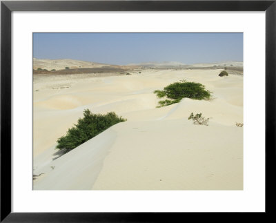 Desert And Sand Dunes In The Middle Of The Island Of Boa Vista, Cape Verde Islands, Africa by R H Productions Pricing Limited Edition Print image
