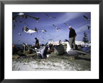 Fish Market In Morocco by Michael Brown Pricing Limited Edition Print image