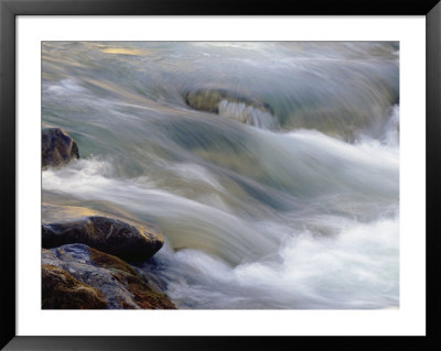 Flowing Stream At The Lewis And Clark National Forest by Joel Sartore Pricing Limited Edition Print image