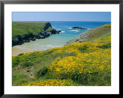 Cote De Port Kerledan, Belle-Ile-En-Mer, Breton Islands, Morbihan, Brittany, France by J P De Manne Pricing Limited Edition Print image