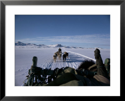Dog Transport, Greenland, Polar Regions by Jack Jackson Pricing Limited Edition Print image