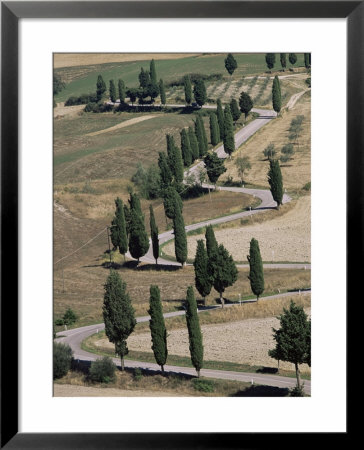 Val D'orcia, Tuscany, Italy by Bruno Morandi Pricing Limited Edition Print image