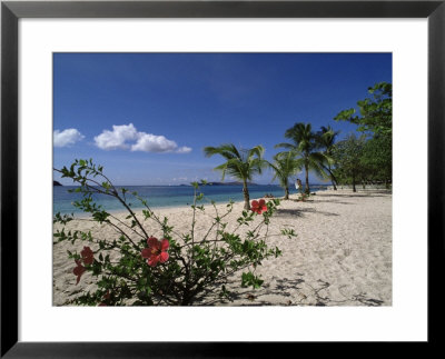 Palm Island, Near Young Island, The Grenadines, Windward Islands by Fraser Hall Pricing Limited Edition Print image