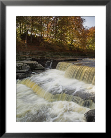 Lower Aysgarth Falls And Autumn Colours Near Hawes, Yorkshire Dales National Park, Yorkshire by Neale Clarke Pricing Limited Edition Print image