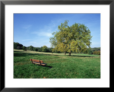 Hampstead Heath, London, England, United Kingdom by Ethel Davies Pricing Limited Edition Print image