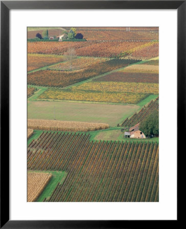 View From The Village Of Belaye Of The Vineyards Of Cahors, Vallee Du Lot, Midi-Pyrenees, France by Bruno Barbier Pricing Limited Edition Print image