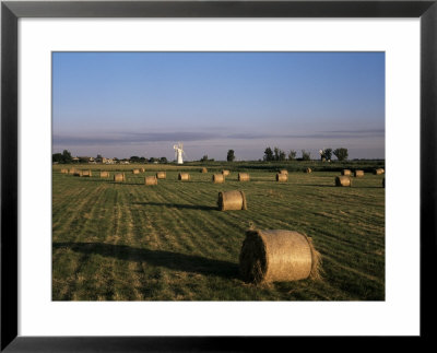 Fields, Thurne Broad, Norfolk, England, United Kingdom by Charles Bowman Pricing Limited Edition Print image