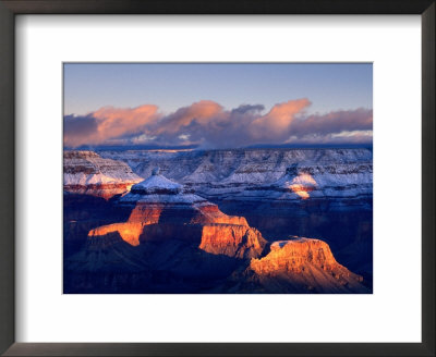 Snow Frosted Canyon Tops, Grand Canyon National Park, Arizona, Usa by Curtis Martin Pricing Limited Edition Print image