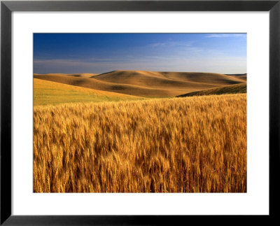Wheat Fields, Palouse, Usa by Brent Winebrenner Pricing Limited Edition Print image