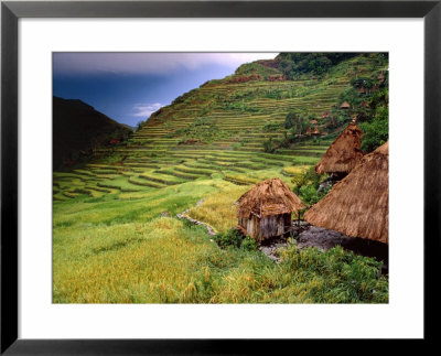 Rainstorm Approaching Huts And Rice Paddies, Batad, Ifugao, Philippines by John Pennock Pricing Limited Edition Print image