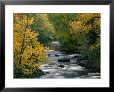 Autumn Colours On The Banks Of The Rue River, Quebec, Canada by Mark Newman Pricing Limited Edition Print image