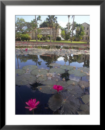 St. John Parish, Coddrington College, Barbados, Caribbean by Michele Westmorland Pricing Limited Edition Print image