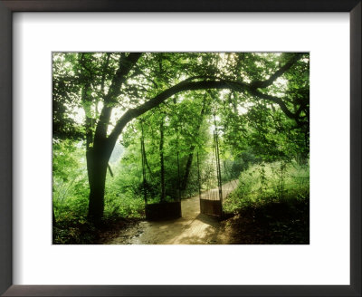 Woodland Walk, With Metal Gate And Fence Chaumont Garden Festival, France 1999 by Mark Bolton Pricing Limited Edition Print image
