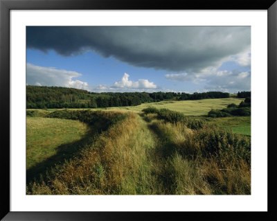Fields Near Lindholm Hoje, The Largest Known Viking Burial Ground by Sisse Brimberg Pricing Limited Edition Print image