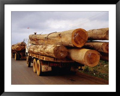 Logging Trucks On Road, Bolaven Plateau, Laos by Woods Wheatcroft Pricing Limited Edition Print image